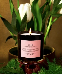 Boy Smells Kush New Arrivals