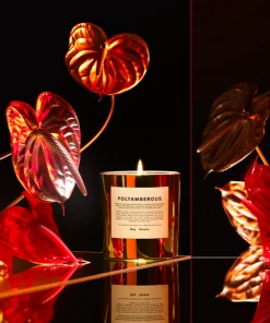 Boy Smells Polyamberous New Arrivals