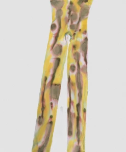 Legssss Earth Tights New Arrivals