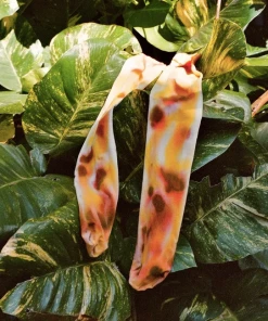 Legssss Earth Tights New Arrivals