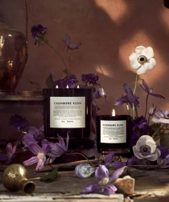 New Arrivals Boy Smells Cashmere Kush