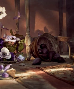 New Arrivals Boy Smells Cashmere Kush