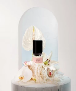 Boy Smells Flor De La Virgen Fragrance New Arrivals