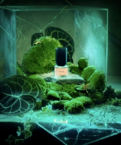 New Arrivals Boy Smells Tantrum Fragrance