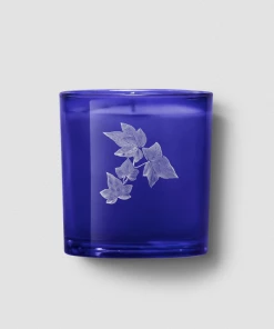 Boy Smells Hackney Garden New Arrivals