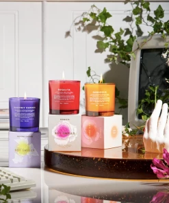 Boy Smells Hackney Garden New Arrivals